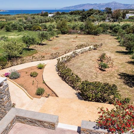 Villa Filizi - Filizi Naoussa Paros Santa Maria  Exterior foto